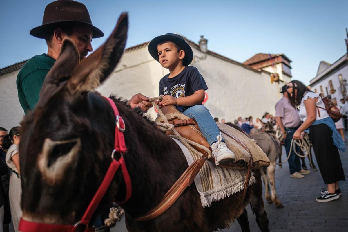 Noche de los Burros en La Laguna, julio de 2022 Noche de los Burros en La Laguna, julio de 2022
