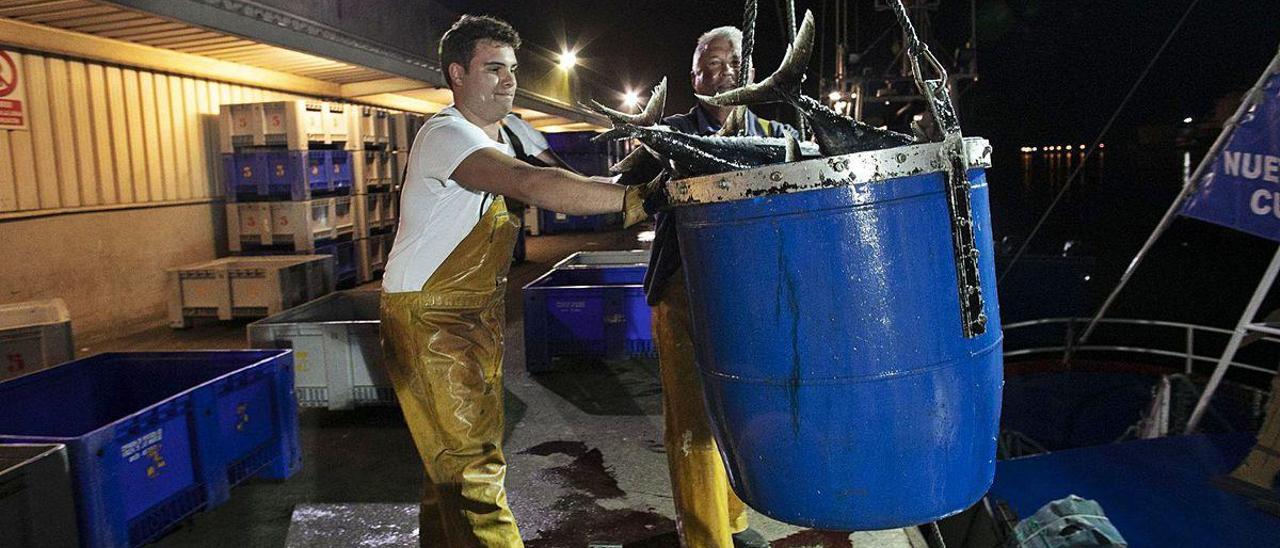 Dos pescadores izan al muelle de la rula de Avilés un recipiente lleno de bonitos.