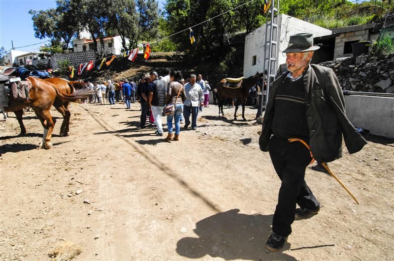 XX Feria Equina de La Culata de Tejeda