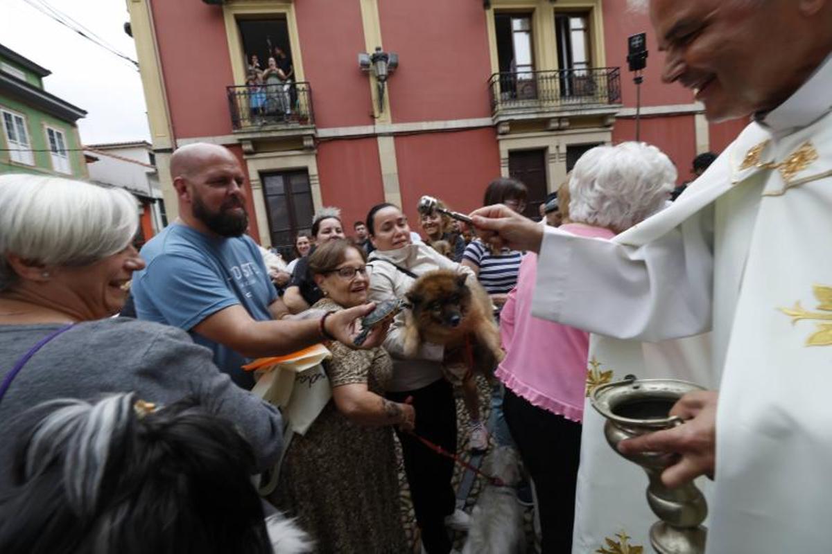 EN IMÁGENES: la bendición de San Roque a las mascotas en El Carbayedo, en Avilés