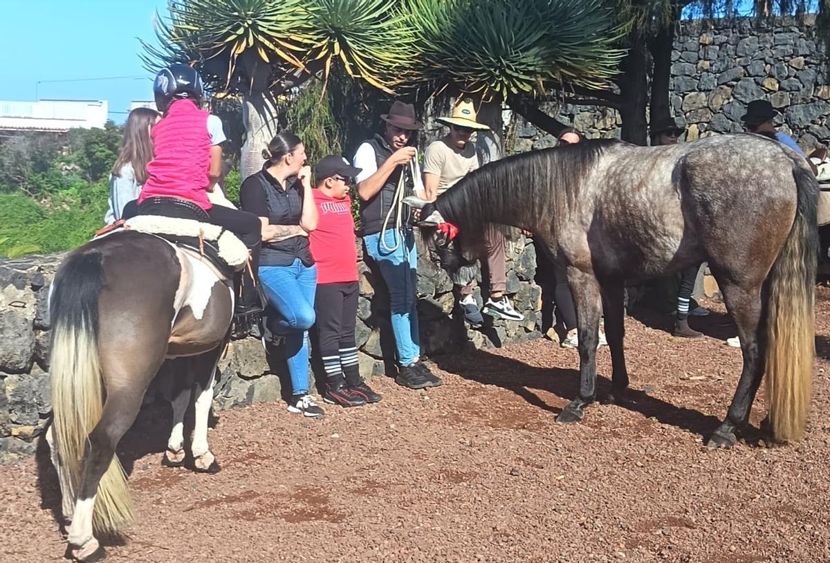 Feria del Ganado en La Matanza en el día grande de San Antonio Abad