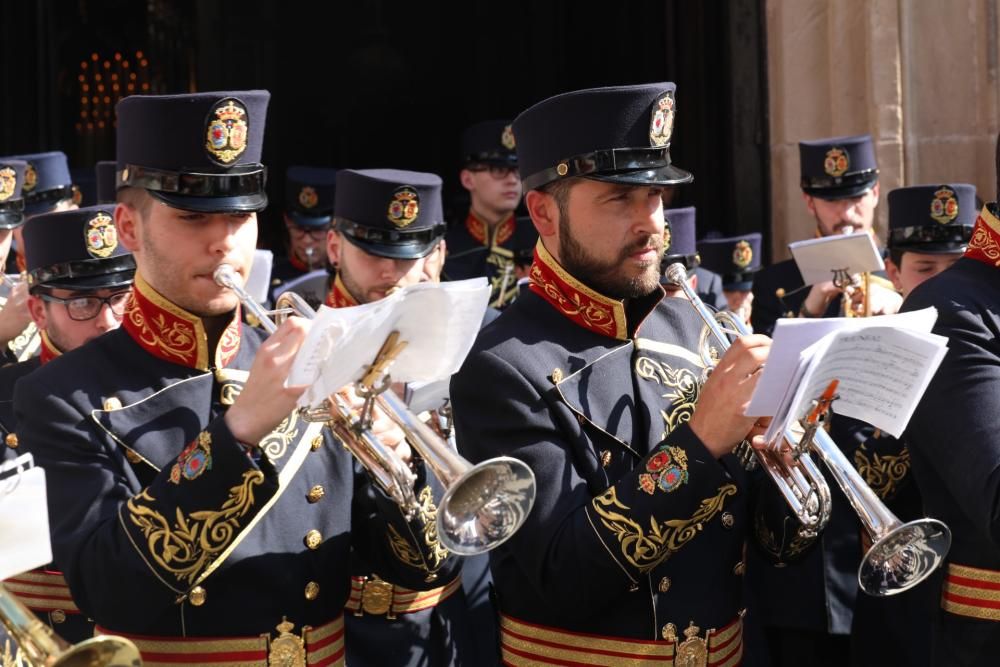 Domingo de Ramos | Salutación