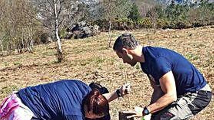 El BBVA colabora para reforestar As Fragas do Eume