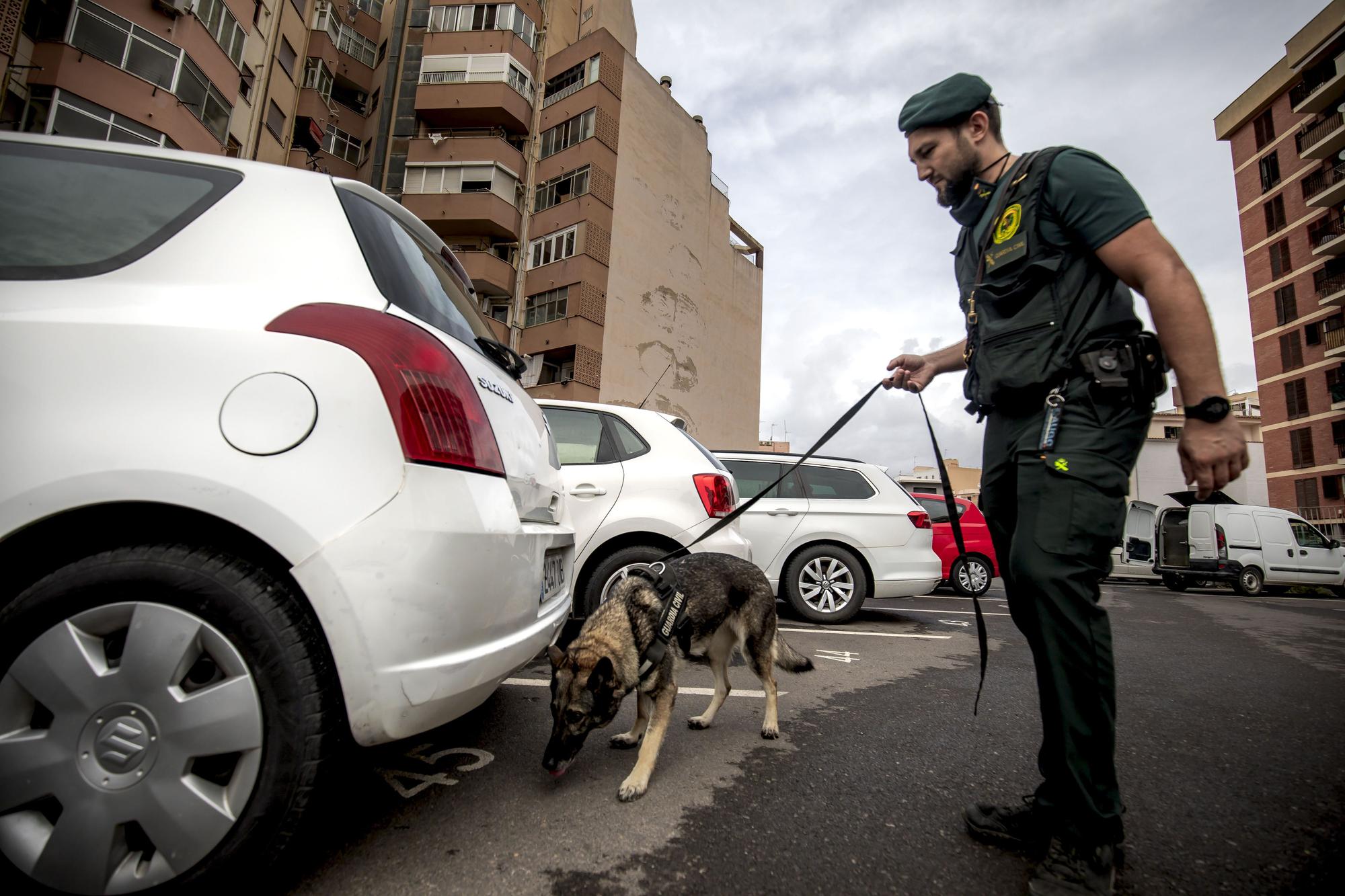 Unidad de Guías Caninos de la Guardia Civil