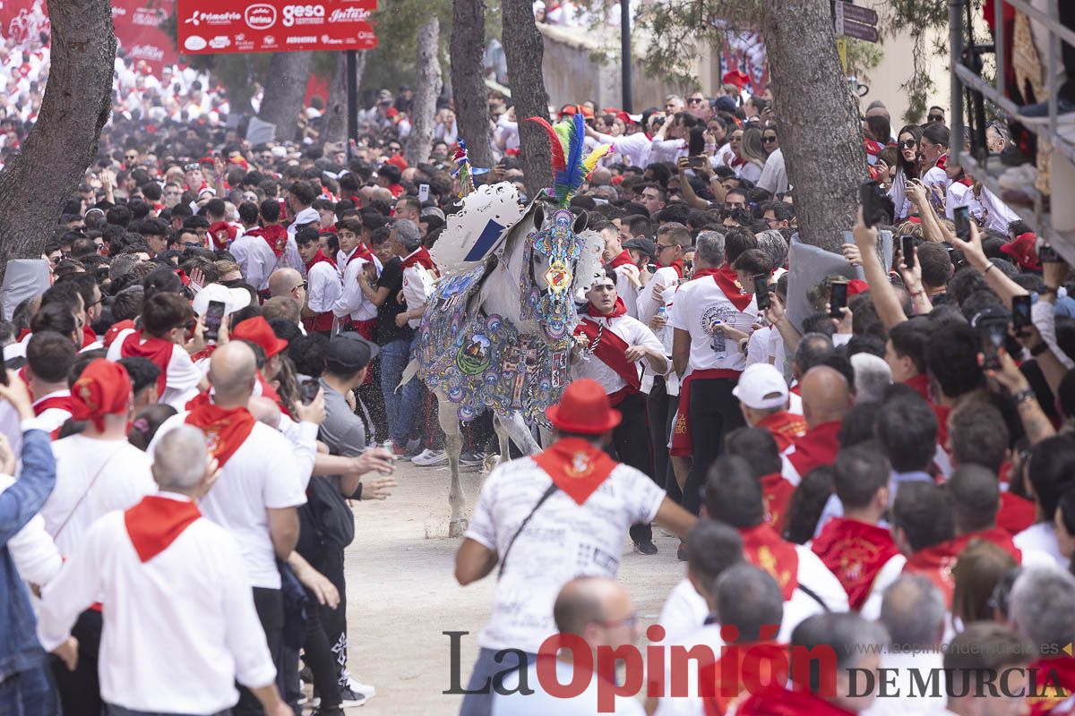 Así se ha vivido la carrera de Los Caballos del Vino en Caravaca