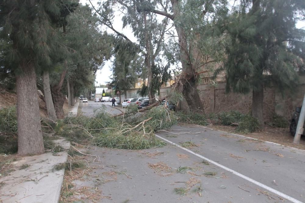 La borrasca Ana, a su paso por Cartagena