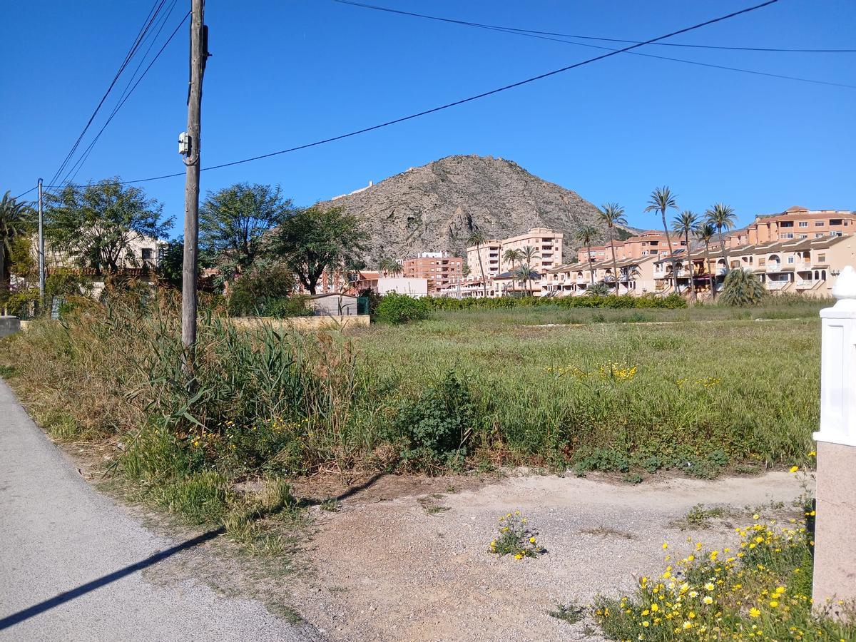 El Ayuntamiento aumenta el control en azarbes y otros puntos donde se acumula agua