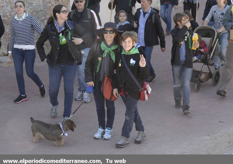 GALERÍA DE FOTOS - Romería Magdalena 2014 (8)