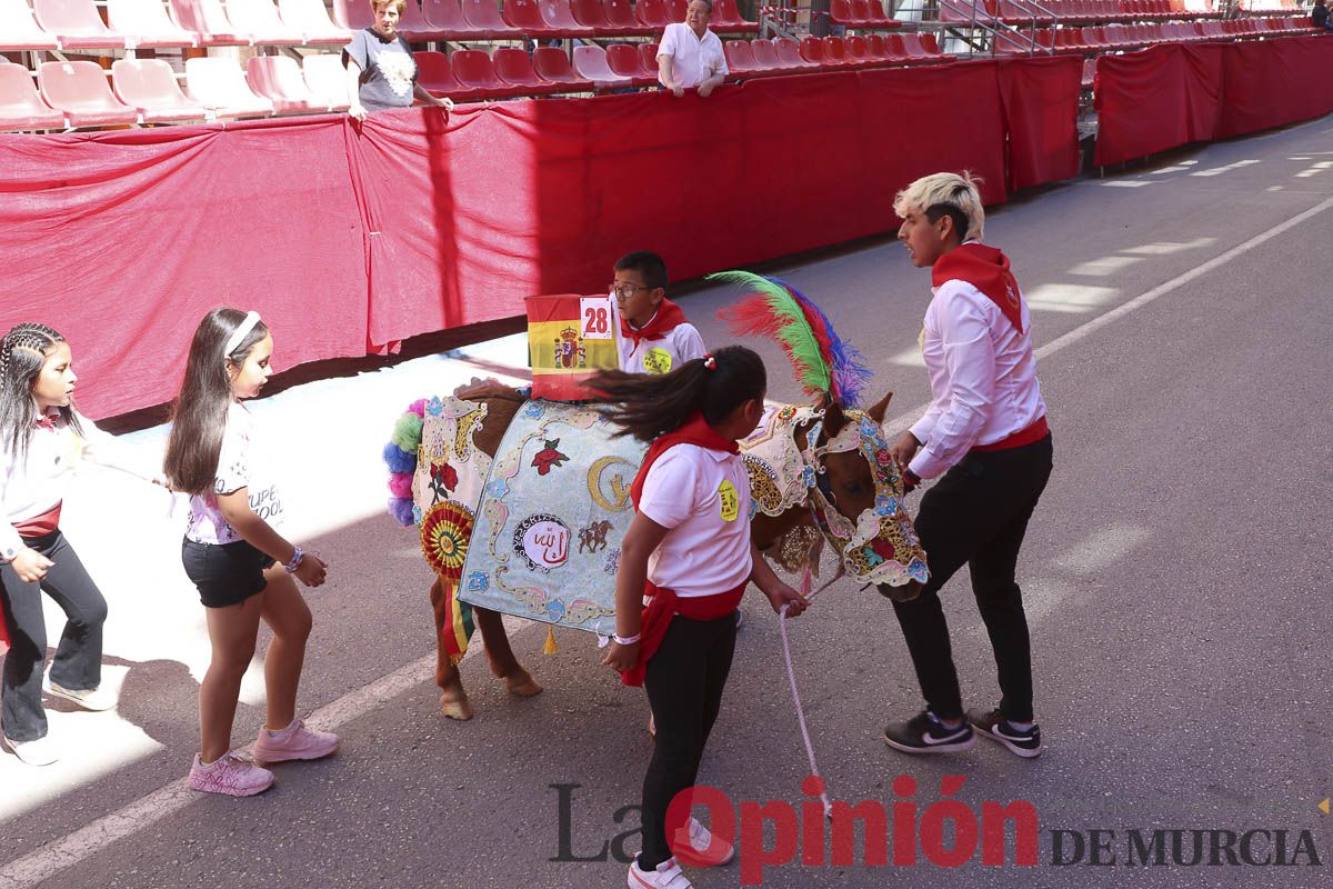 Fiestas de Caravaca: desfile infantil de los Caballos del Vino