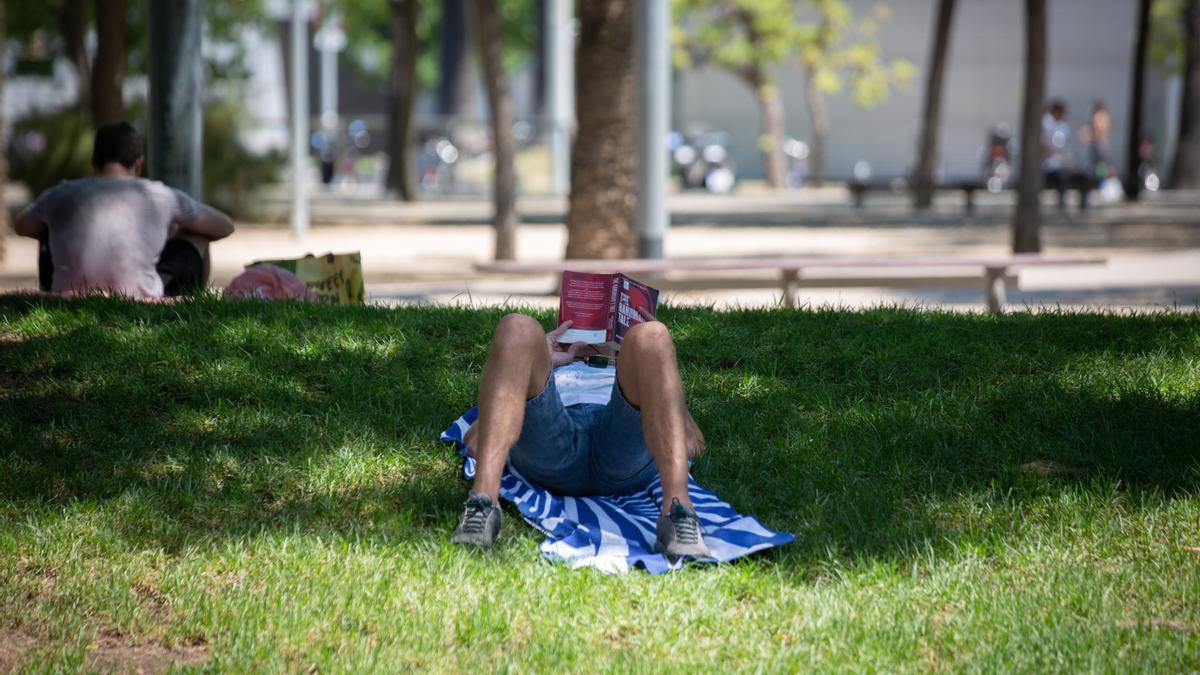 Un hombre lee bajo la sombra de unos árboles