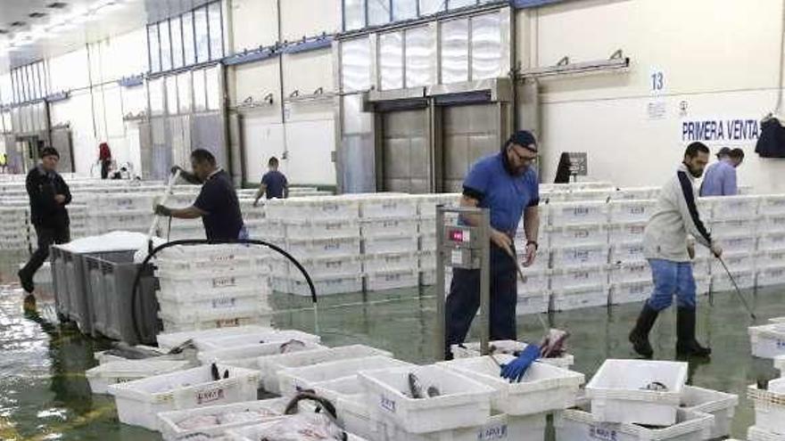 Descarga de pescado en la lonja del Berbés, en Vigo. // Alba Villar