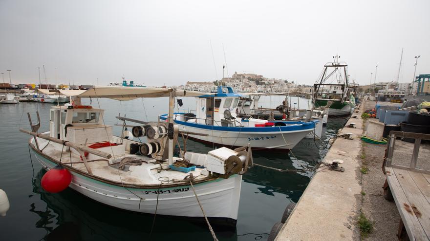 IbizaPreservation se une a otras fundaciones para luchar contra la pesca ilegal