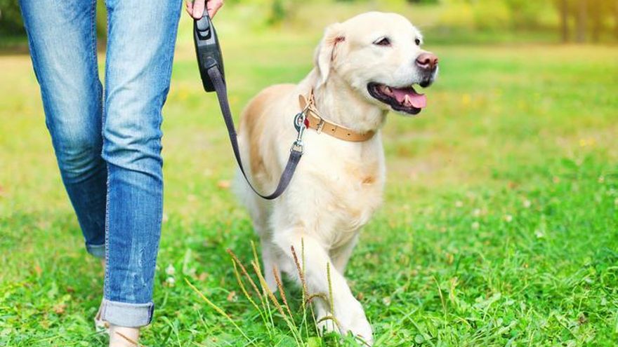 Una mujer pasea a su perro.