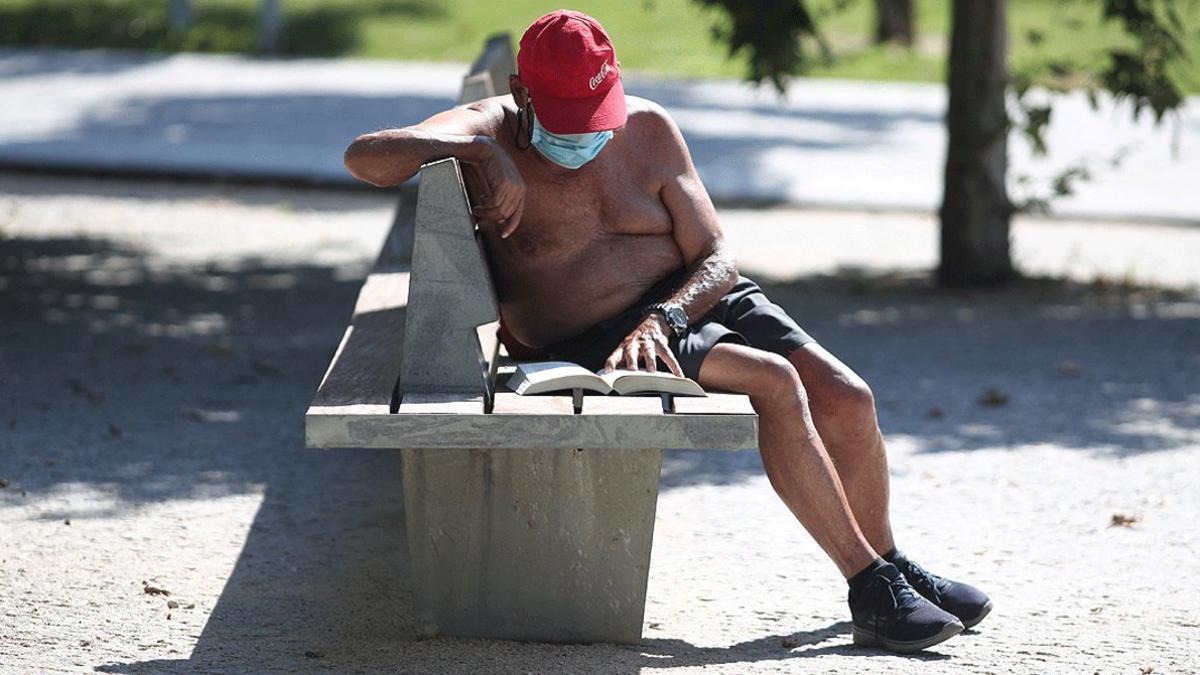 Un hombre con mascarilla lee un libro en un parque de Madrid, el pasado 23 de junio