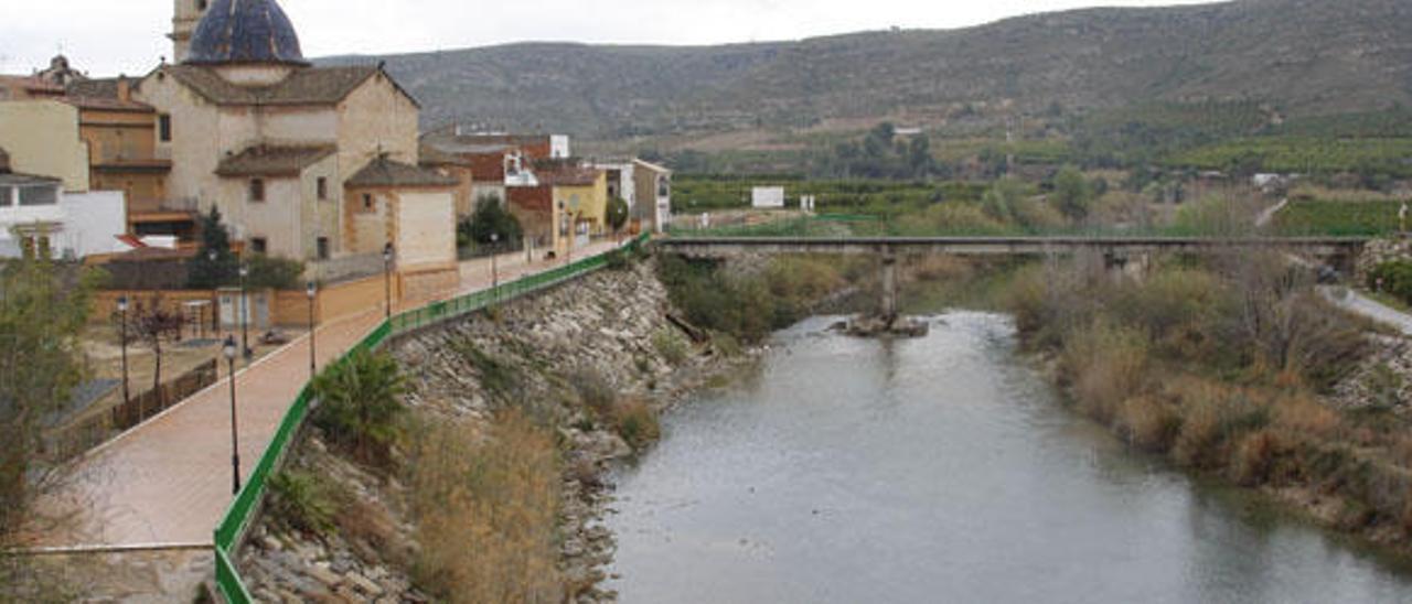 Hallan insecticidas contra garrapatas y pulgas en truchas y barbos del Xúquer