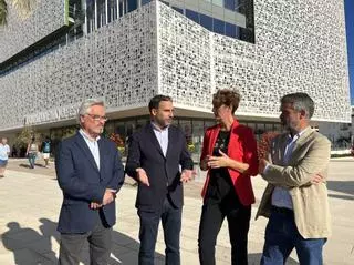 Dani Pérez acusa al alcalde de Estepona de "convertir" el Ayuntamiento "en su propio cortijo"