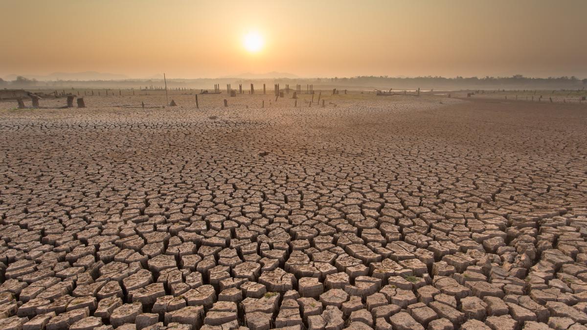 Desertificación