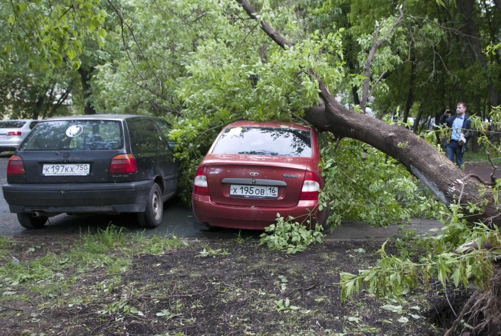 Un fuerte temporal de lluvia y vientos huracanados causó hoy la muerte de al menos once personas en Moscú, casi todos por caídas de árboles.