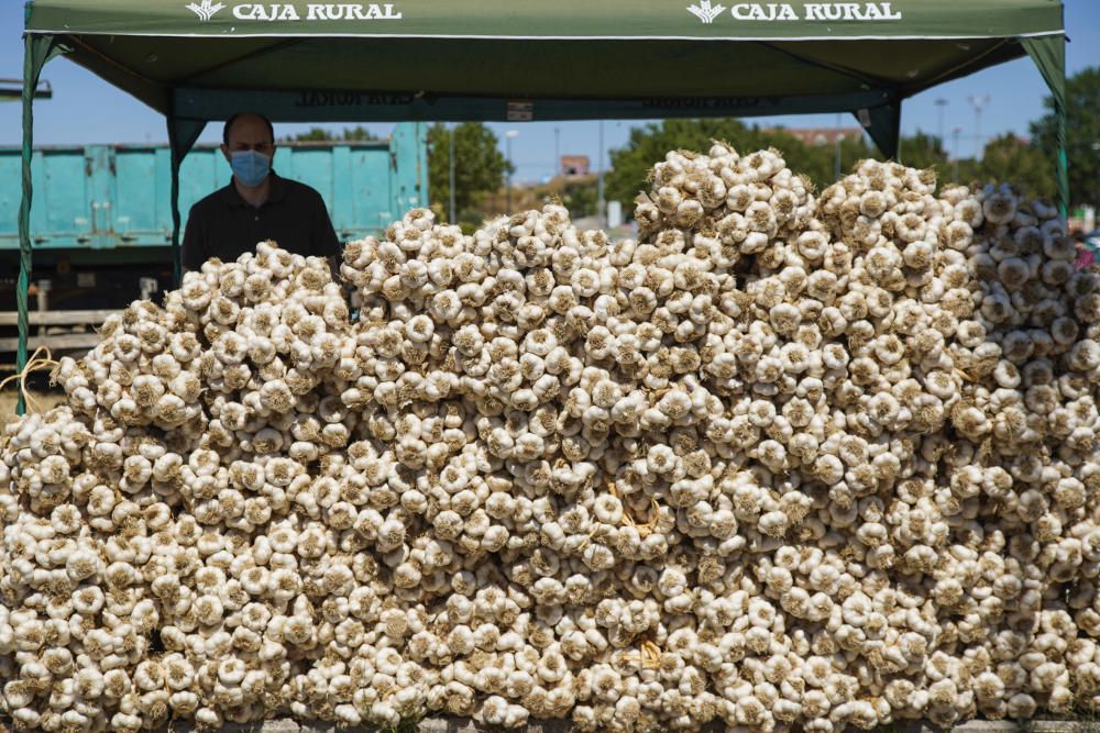 La Feria del Ajo de Zamora, reconvertida en Ifeza