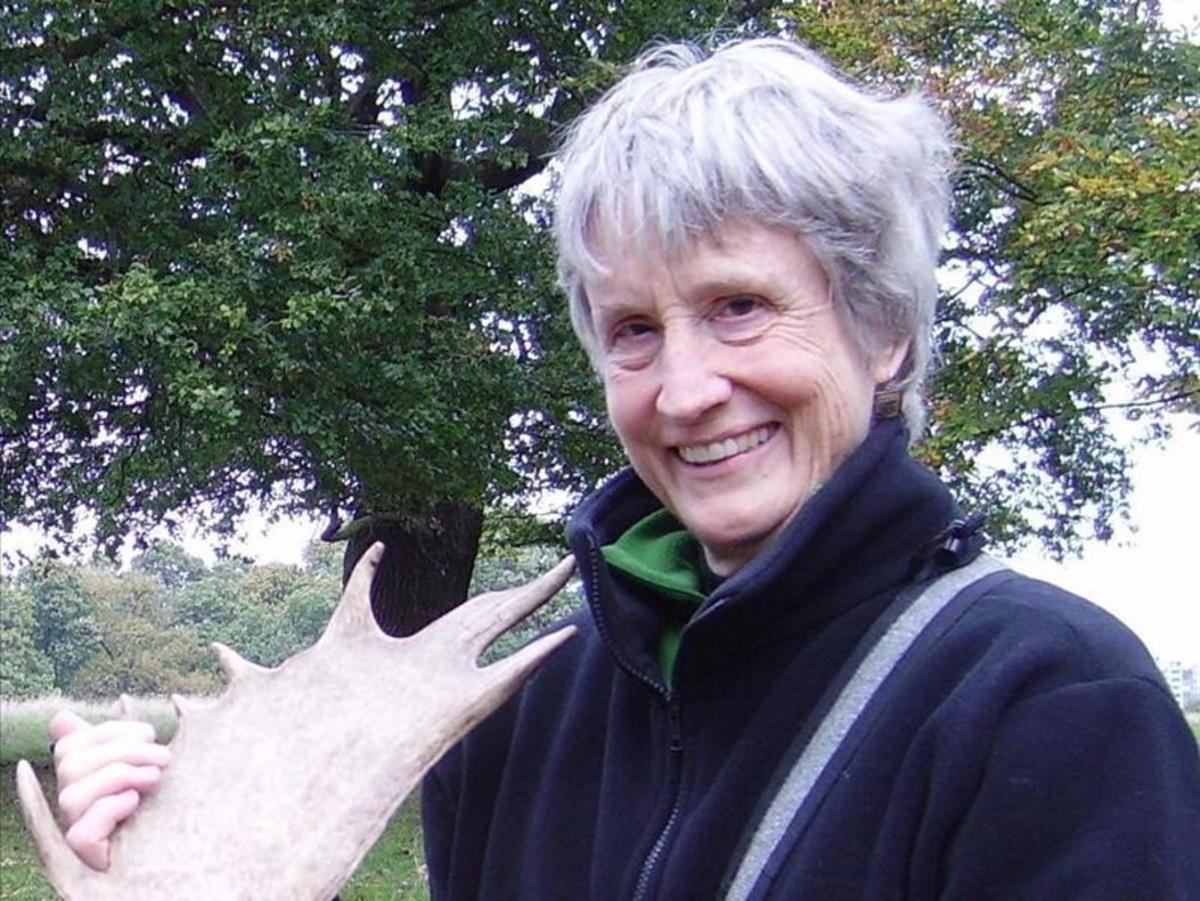 zentauroepp49825162 cuaderno donna haraway190912172134 zentauroepp49825162 cuaderno donna haraway190912172134