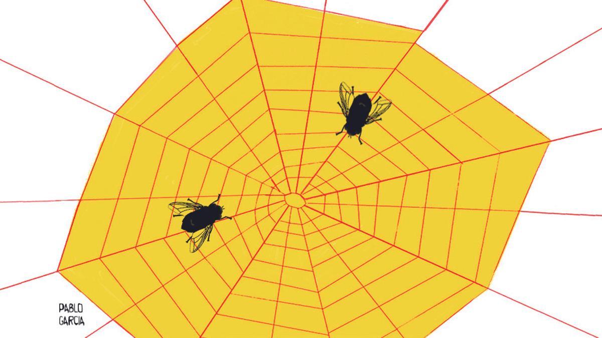 ILUSTRACION. TELA DE ARAÑA. MOSCAS