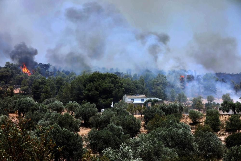 Sigue descontrolado el incendio de Tarragona ...