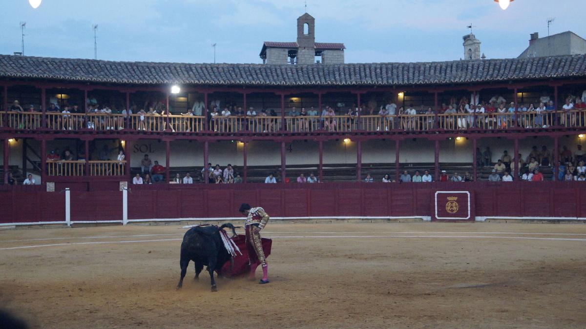 Ismael Martín abrió la triple puerta grande de la plaza de toros de Toro junto a sus compañeros de terna, Alejandro Talavante y Tomás Rufo, en un encierro de presencia y juego desigual de El Vellosino