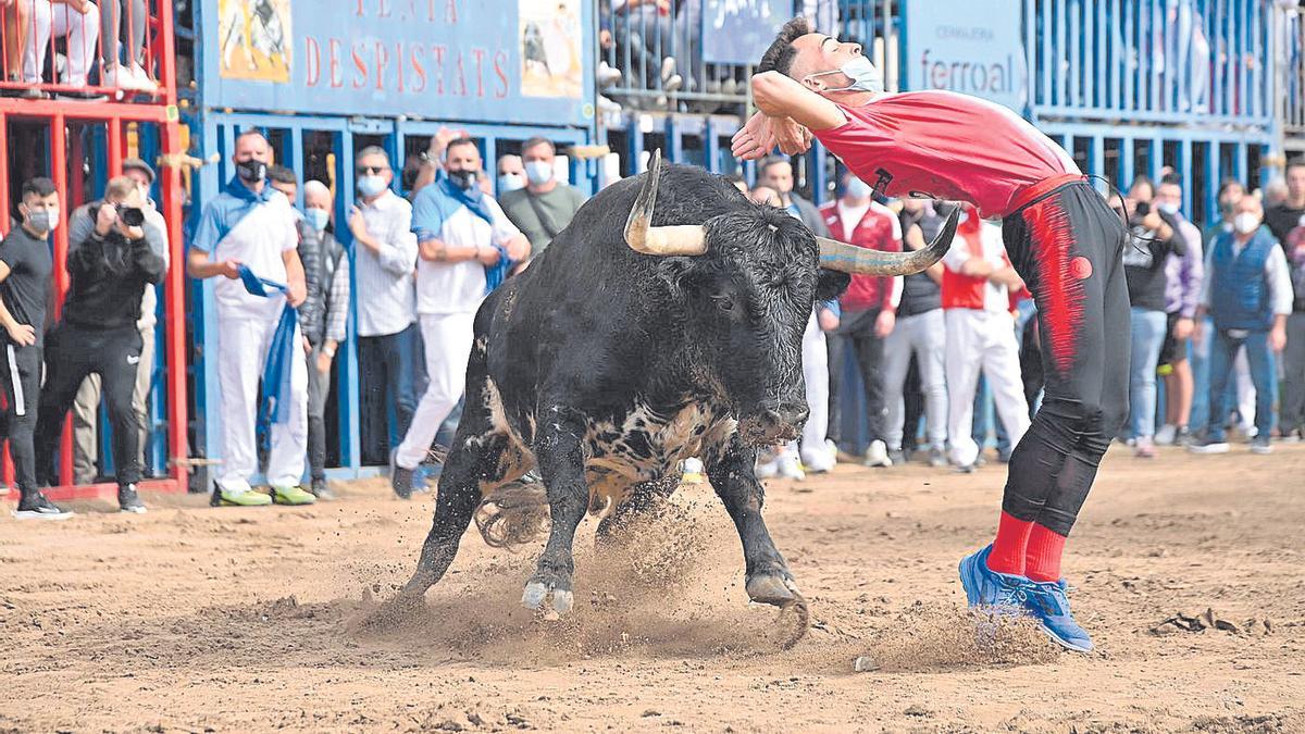 Un ‘bou’ en acción durante los festejos taurinos de la Fira d’Onda del pasado año.