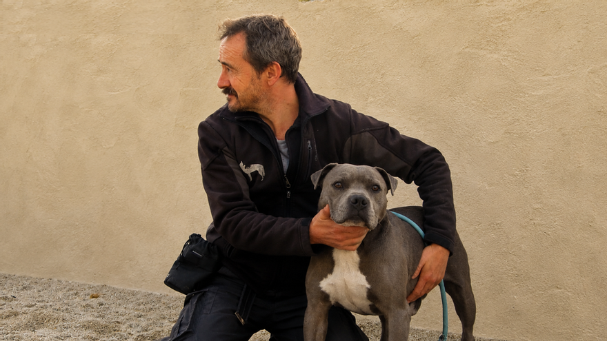 Yago Ricoy, educador canino: "Tener un perro es una responsabilidad diaria más allá de los paseos"