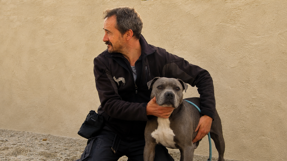 Yago Ricoy, educador canino: "Tener un perro es una responsabilidad diaria más allá de los paseos"