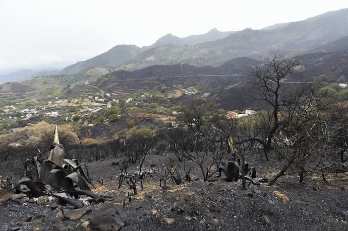 Zona quemada en Cueva Grande