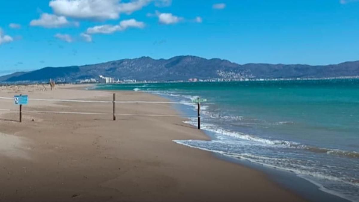 La platja de Can Comes, dins el parc dels Aiguamolls, amb l’accés restringit.
