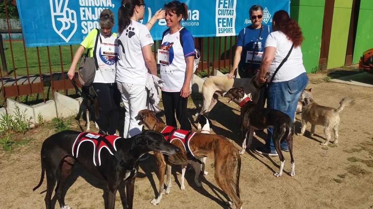 I Marxa Canina Solidària I Marxa Canina Solidària
