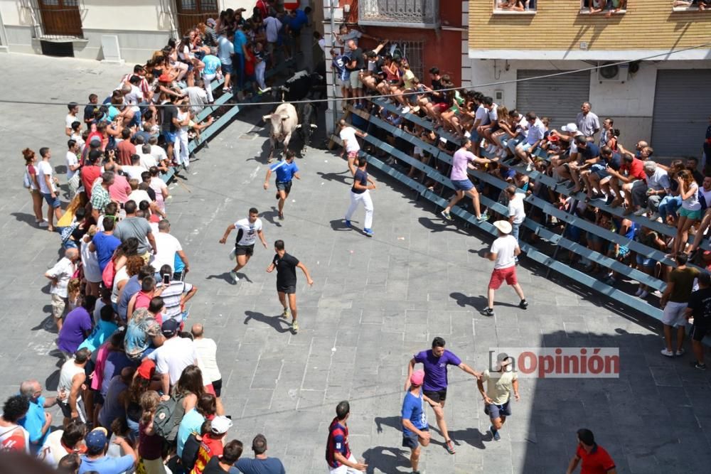 I Encierro de Blanca 2016