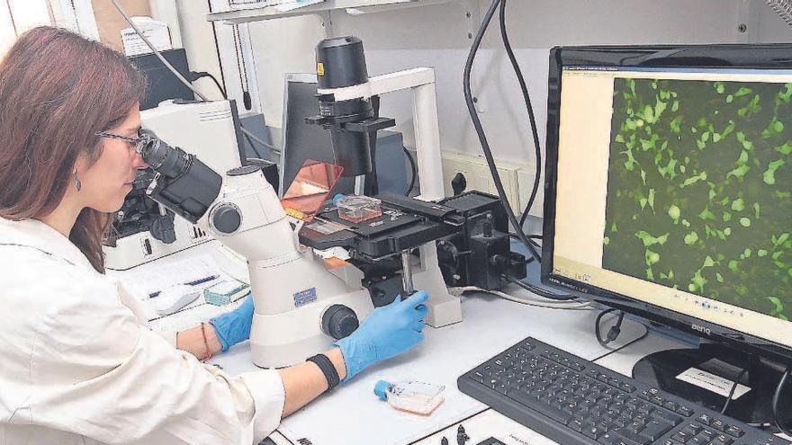 Unha científica observa a través dun microscopio.