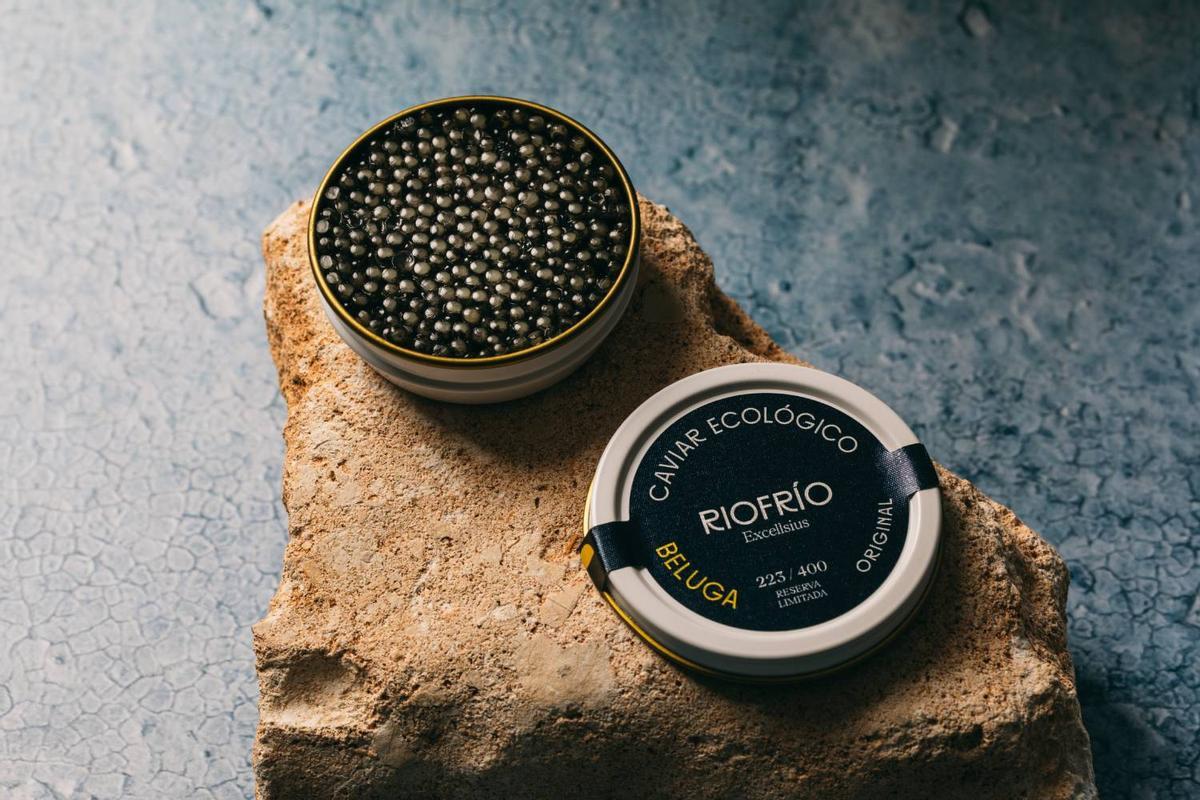 El caviar con el que no se falla: el de Riofrío.