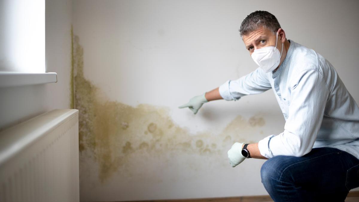 Cómo acabar con la humedad en las paredes de tu casa
