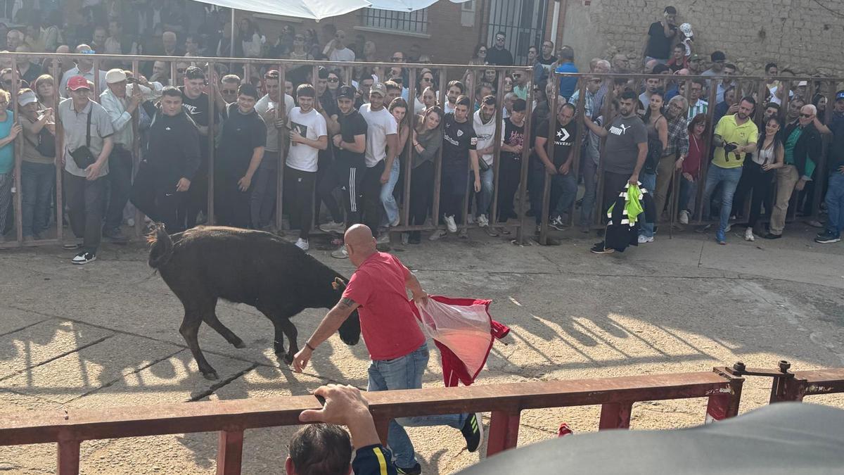 festejo taurino en Villamor de los Escuderos