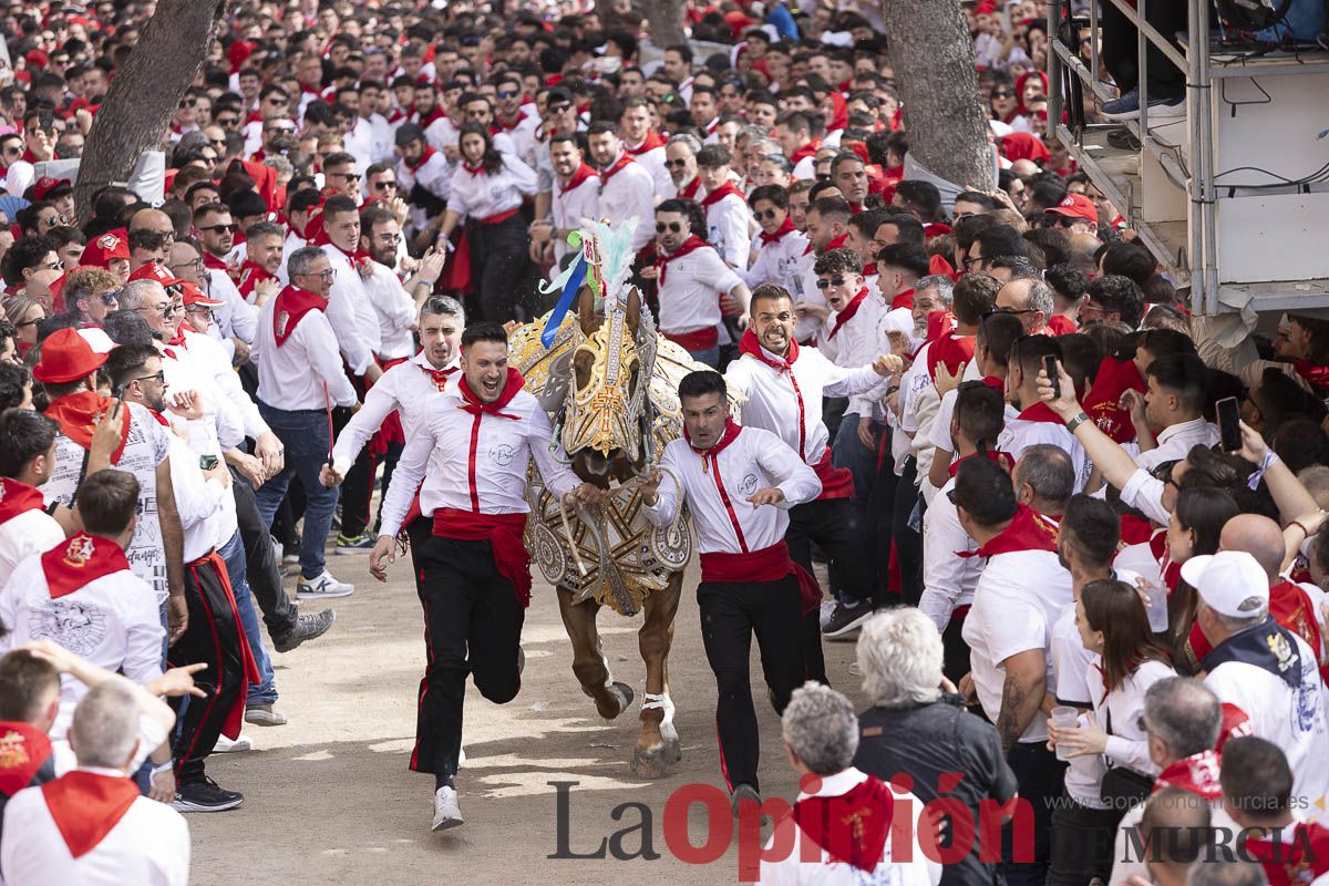 Así se ha vivido la carrera de Los Caballos del Vino en Caravaca