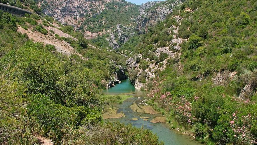 Rescatada y evacuada en helicóptero una senderista herida en Cortes de la Frontera