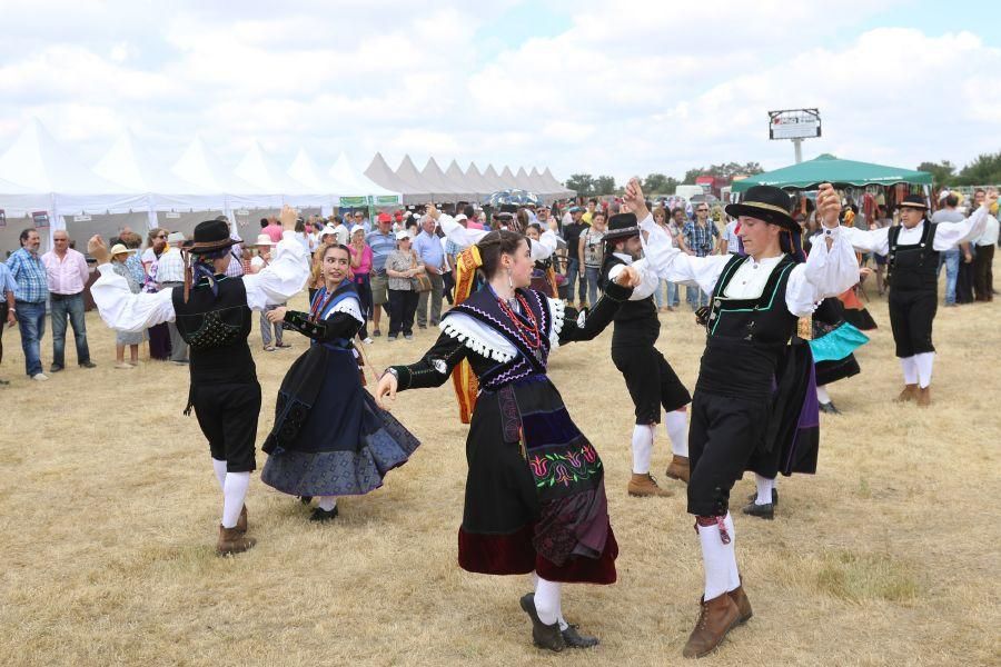 Feria de la Raza Sayaguesa en Bermillo