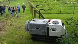 El robot sulfatador autónomo S500 Pro supera con éxito su prueba en viñedos de Rías Baixas