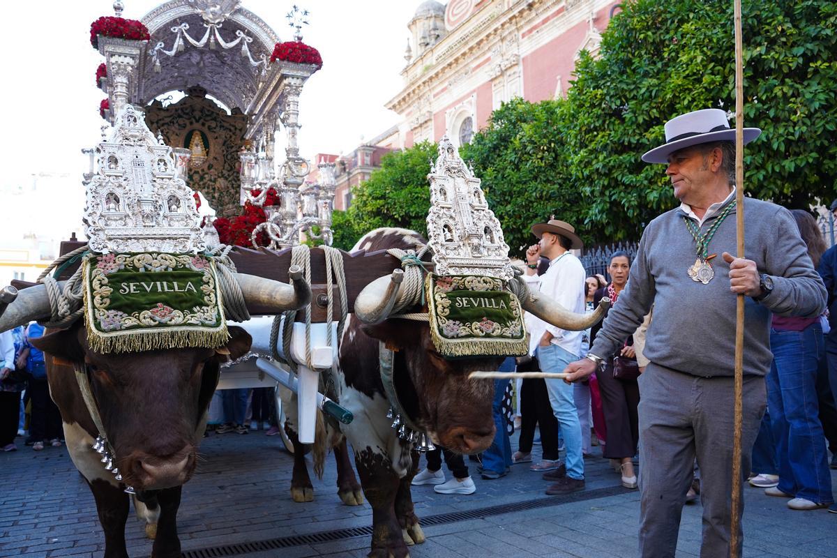 La salida de las hermandades del Rocío de Sevilla, en imágenes
