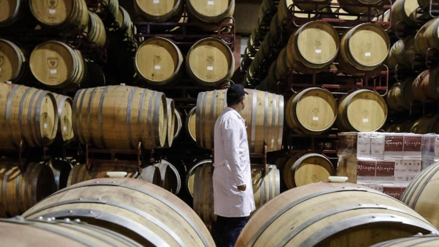 2015, una añada «muy buena» para los vinos de Alicante