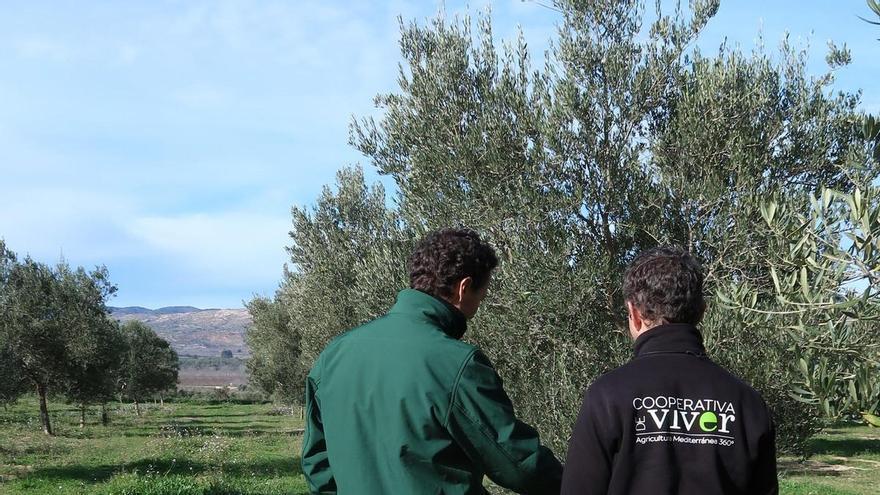La cooperativa que renace como escudo antiincendios