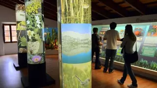 Sóller concede el Escudo de Oro al Museo Balear de Ciencias Naturales por su compromiso de cuatro décadas