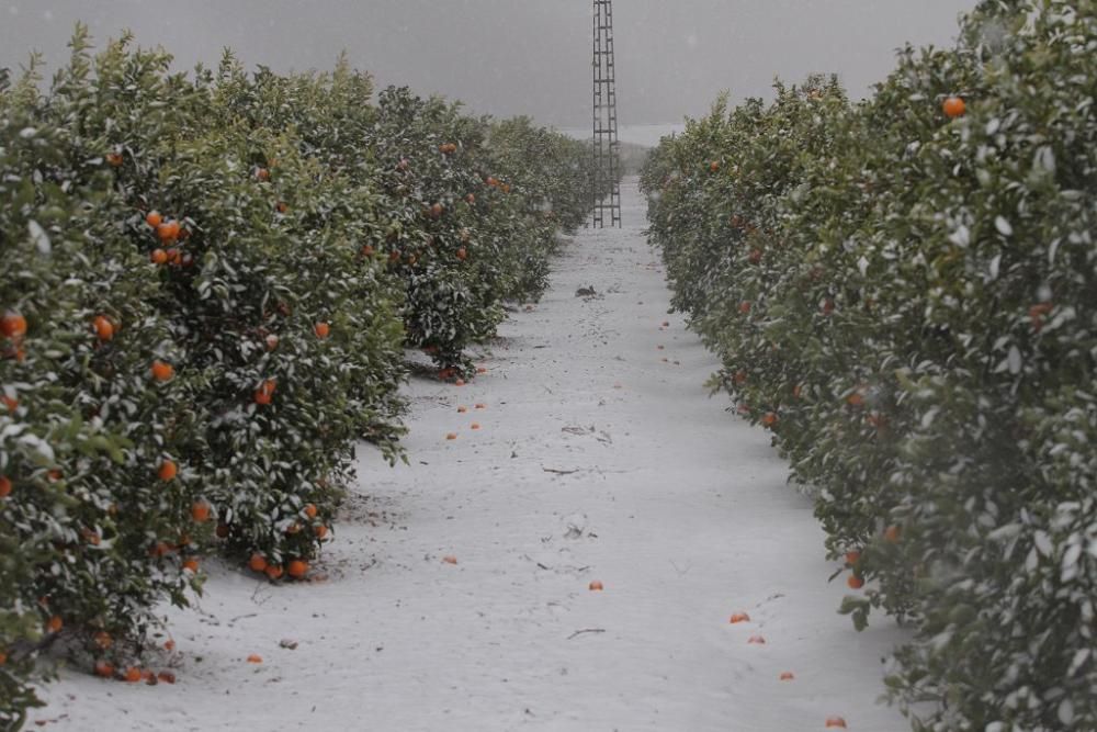 La nieve llega a San Javier, Balsicas y el Campo d