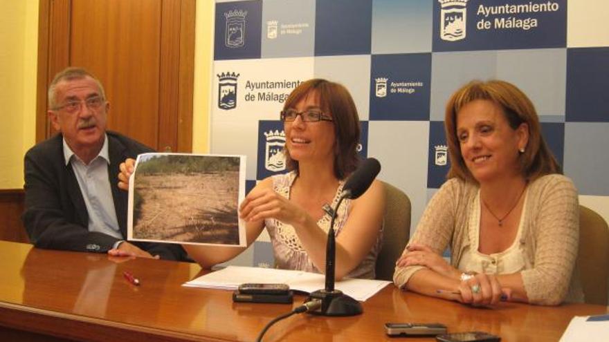 Los concejales del PSOE Hernández Pezzi, Gámez y Medina.