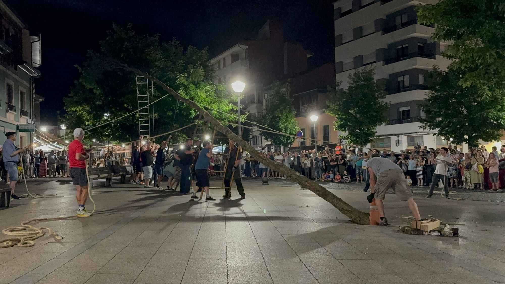 Así fue la plantación del roble de los 'casaos' en Pola