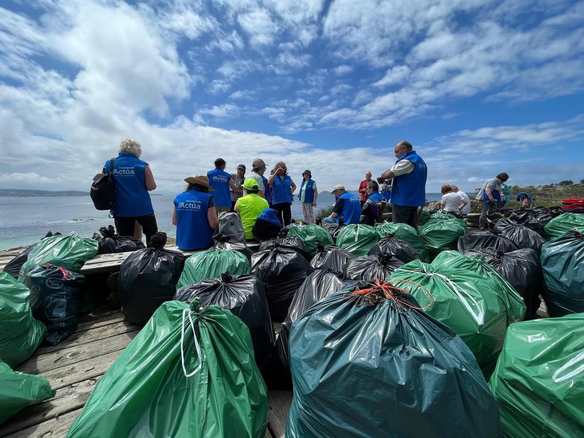 La jornada de voluntariado para eliminar uña de gato en O Grove.